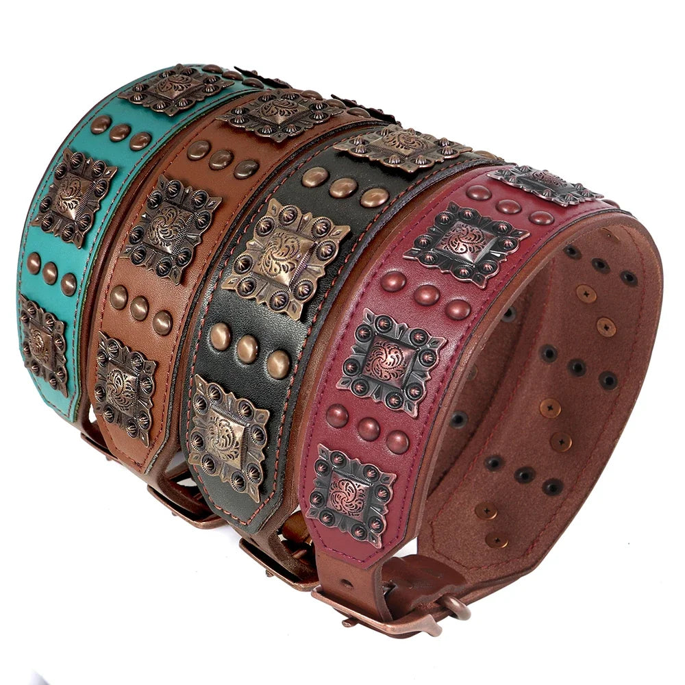 MESA wide dog collars in turquoise, brown, black and burgundy